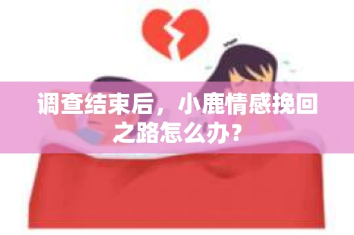 调查结束后，小鹿情感挽回之路怎么办？