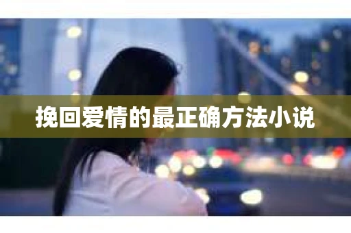 挽回爱情的最正确方法小说