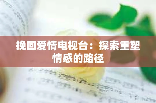 挽回爱情电视台：探索重塑情感的路径