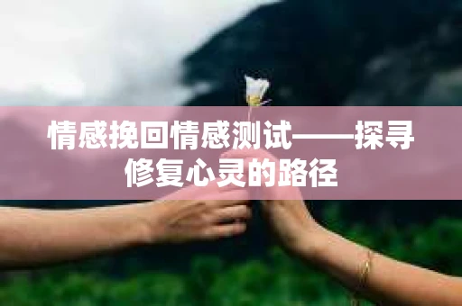 情感挽回情感测试——探寻修复心灵的路径
