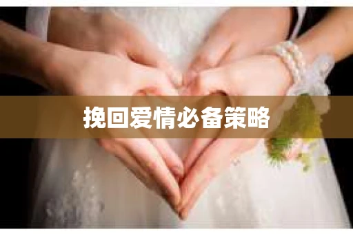挽回爱情必备策略