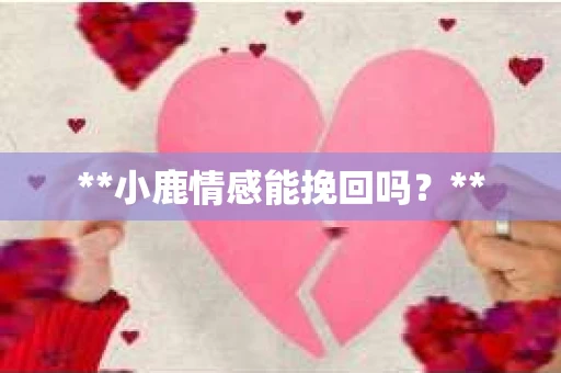 **小鹿情感能挽回吗？**