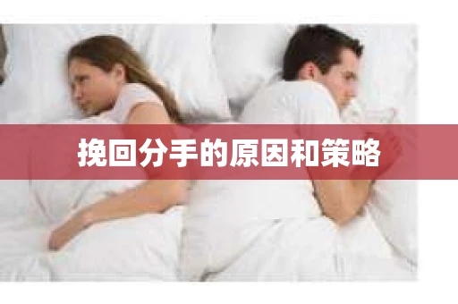 挽回分手的原因和策略