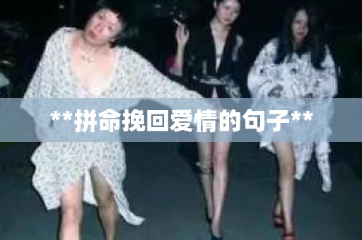 **拼命挽回爱情的句子**