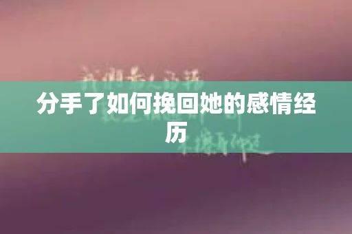 分手了如何挽回她的感情经历