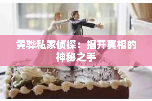 黄骅私家侦探：揭开真相的神秘之手