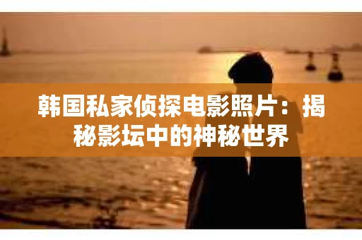 韩国私家侦探电影照片：揭秘影坛中的神秘世界