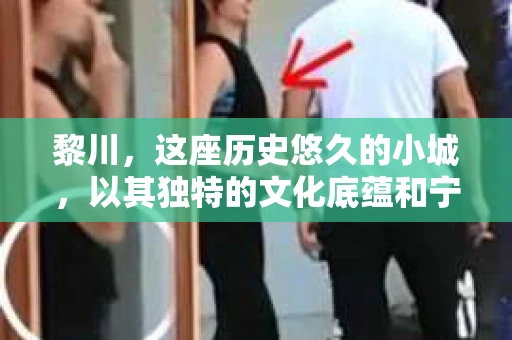 黎川，这座历史悠久的小城，以其独特的文化底蕴和宁静的生活节奏吸引着无数游客。然而，在这样一个看似平静的城市里，你是否会好奇，有没有私家侦探机构的存在呢？今天，就让我带你一探究竟。