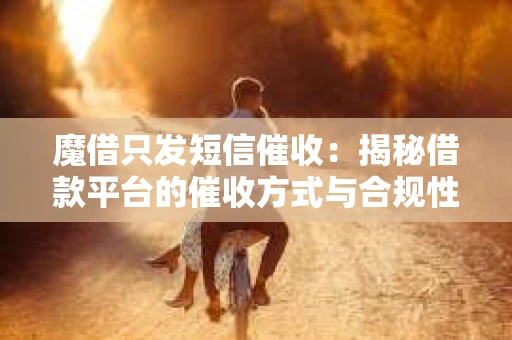 魔借只发短信催收：揭秘借款平台的催收方式与合规性