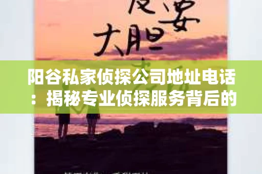 阳谷私家侦探公司地址电话：揭秘专业侦探服务背后的故事