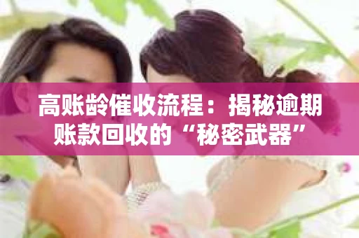 高账龄催收流程：揭秘逾期账款回收的“秘密武器”