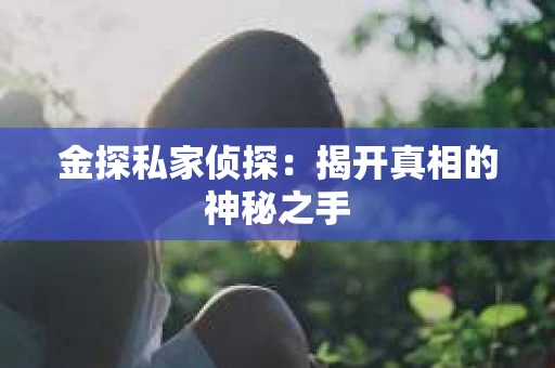 金探私家侦探：揭开真相的神秘之手