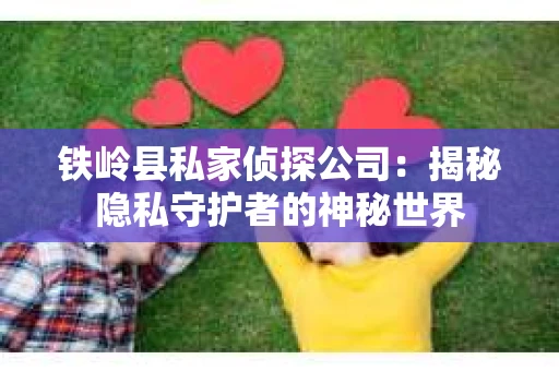 铁岭县私家侦探公司：揭秘隐私守护者的神秘世界