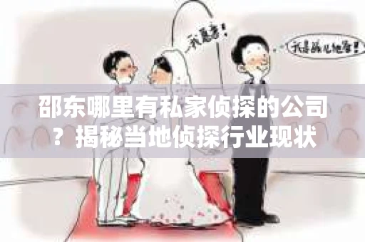 邵东哪里有私家侦探的公司？揭秘当地侦探行业现状