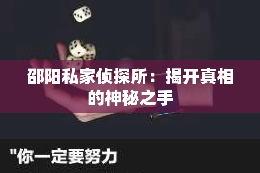 邵阳私家侦探所：揭开真相的神秘之手