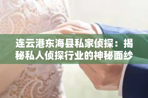 连云港东海县私家侦探：揭秘私人侦探行业的神秘面纱