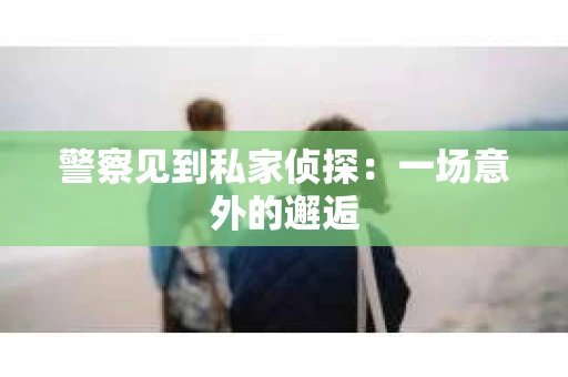警察见到私家侦探：一场意外的邂逅