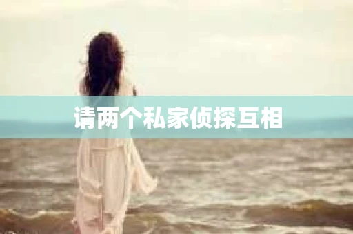 请两个私家侦探互相