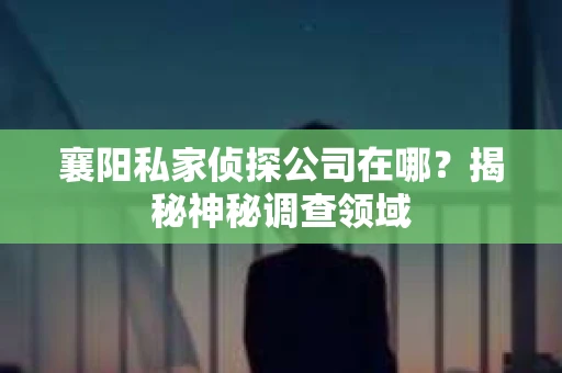 襄阳私家侦探公司在哪？揭秘神秘调查领域