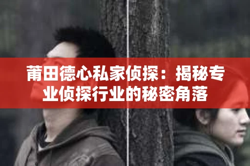 莆田德心私家侦探：揭秘专业侦探行业的秘密角落