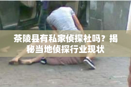 茶陵县有私家侦探社吗？揭秘当地侦探行业现状