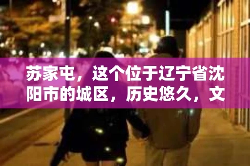 苏家屯，这个位于辽宁省沈阳市的城区，历史悠久，文化底蕴深厚。近年来，随着社会的发展，人们对于私家侦探的需求也逐渐增加。那么，苏家屯有私家侦探吗？今天，我们就来聊聊这个话题。