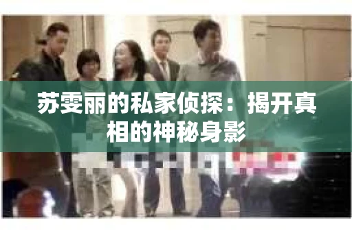 苏雯丽的私家侦探：揭开真相的神秘身影