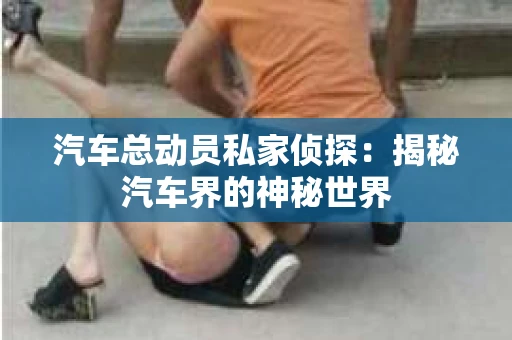 汽车总动员私家侦探：揭秘汽车界的神秘世界