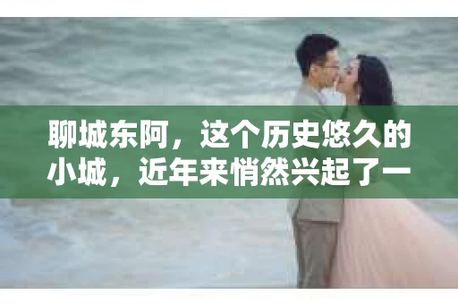 聊城东阿，这个历史悠久的小城，近年来悄然兴起了一股新的服务潮流——私家侦探。今天，我们就来聊聊这个话题，看看在聊城东阿，私家侦探是如何成为人们生活中的一部分的。