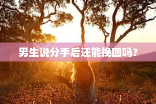 男生说分手后还能挽回吗? 男生说分手后还能挽回吗?