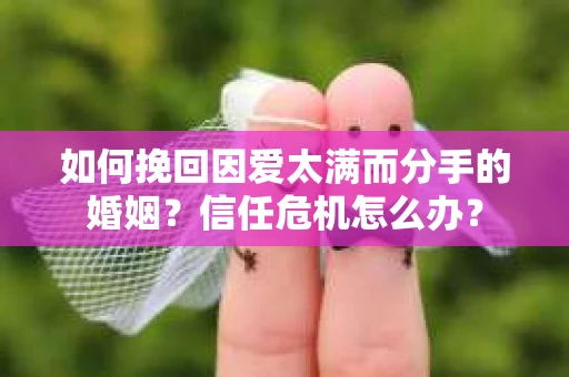 如何挽回因爱太满而分手的婚姻?信任危机怎么办? 如何挽回因爱太满而分手的婚姻?信任危机怎么办?