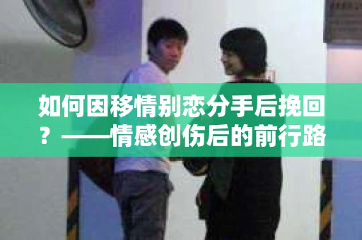 如何因移情别恋分手后挽回？——情感创伤后的前行路线图