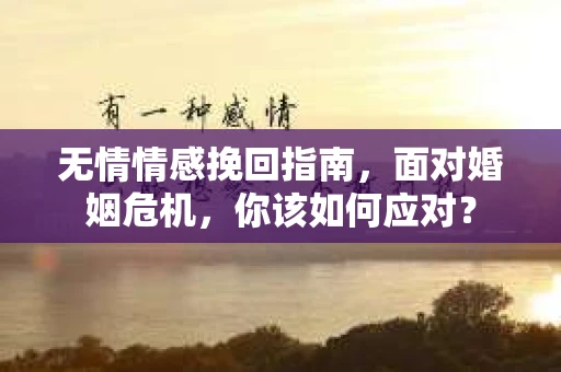 无情情感挽回指南,面对婚姻危机,你该如何应对? 无情情感挽回指南,面对婚姻危机,你该如何应对?