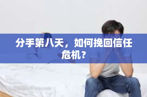 分手第八天，如何挽回信任危机？