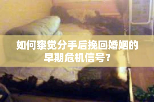 如何察觉分手后挽回婚姻的早期危机信号？