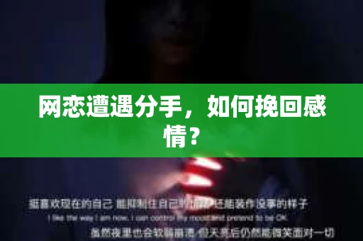 网恋遭遇分手，如何挽回感情？