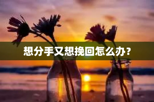 想分手又想挽回怎么办？