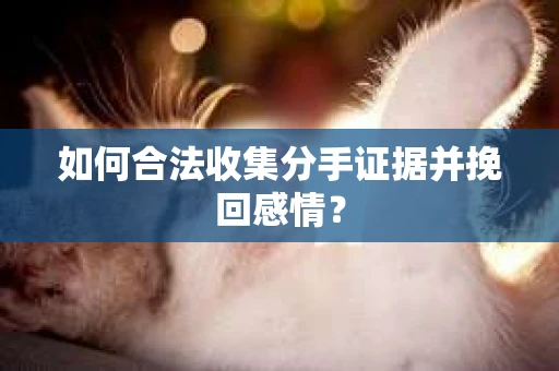 如何合法收集分手证据并挽回感情? 如何合法收集分手证据并挽回感情?